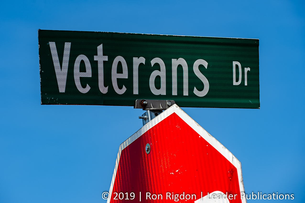 Veterans Dr Sign - Cedar Hill, Mo
